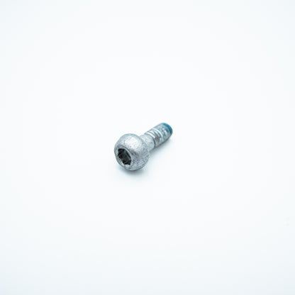 Screw - M60-HT01530110-113060-5103-Y (T100) YC.ST.LL000720