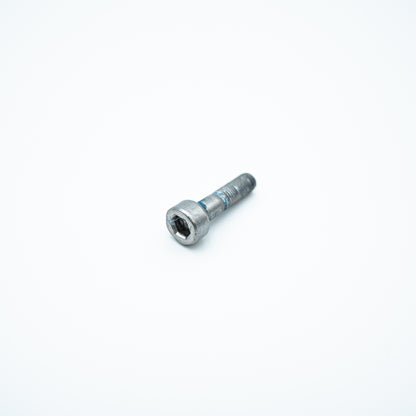 Screw - M60-HC02170160-110078-5103-Y (T100) YC.ST.LL000721